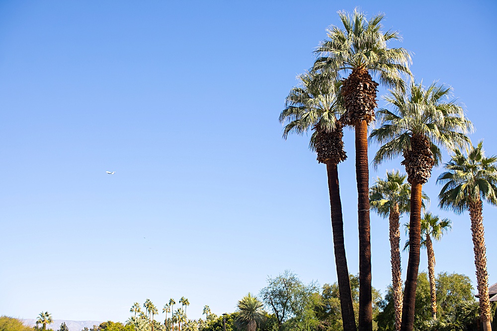 thunderbird country club rancho mirage wedding lti vision events wedding coordinator